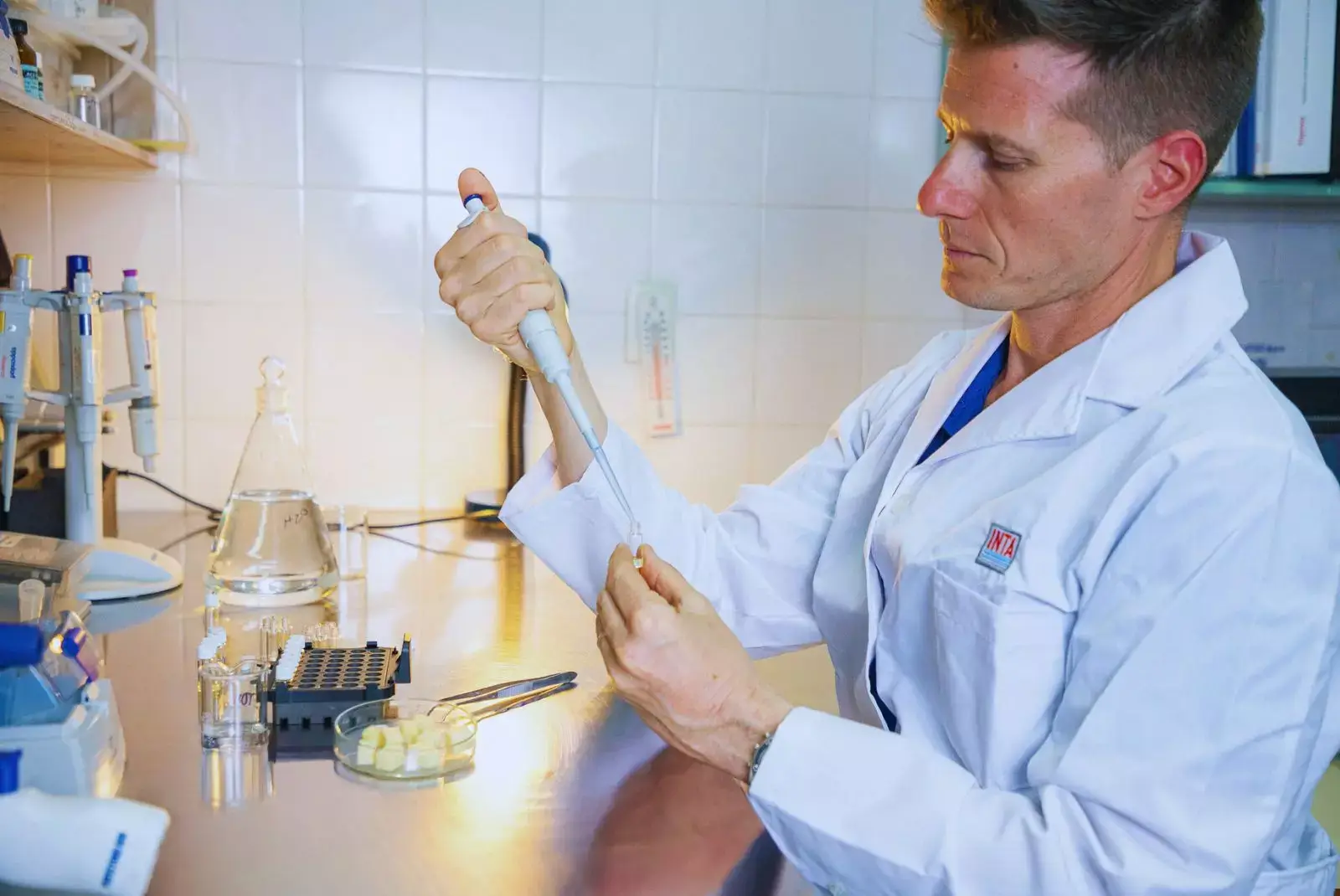 ¿Oportunidad para la indiustria? cómo son los chips de mozzarella que no necesitan cadena de frío y tienen un alto aporte proteico