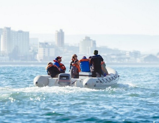 chubut - Comodoro Rivadavia desde el mar.jpg Comodoro: Patagonia en estado puro