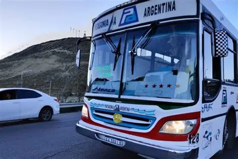 colectivo