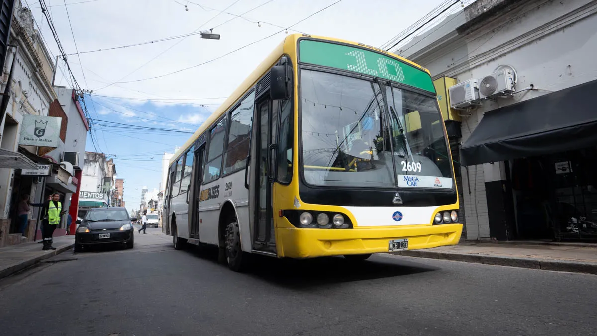 Alerta de colectivos interurbanos: ATAP intimó a Nación y Provincia por deudas y advierte una reducción de servicios