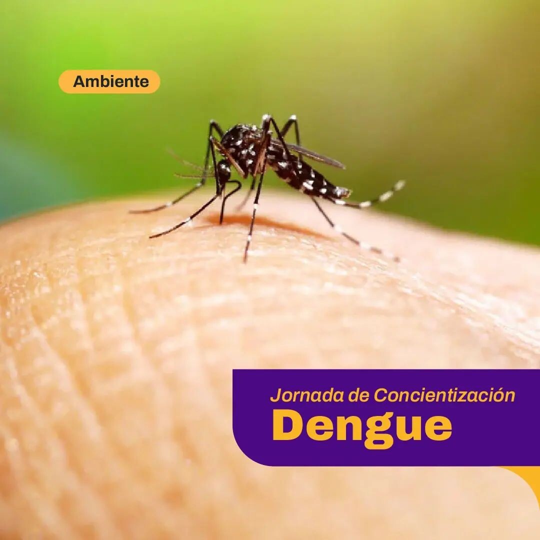 La Ciudad de San Juan continúa con acciones para combatir el dengue, aprender sobre prevención y contribuir a la salud colectiva.