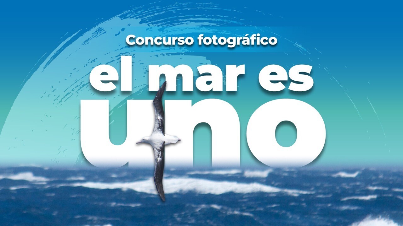 concurso_el_mar_es_uno_apn_intro