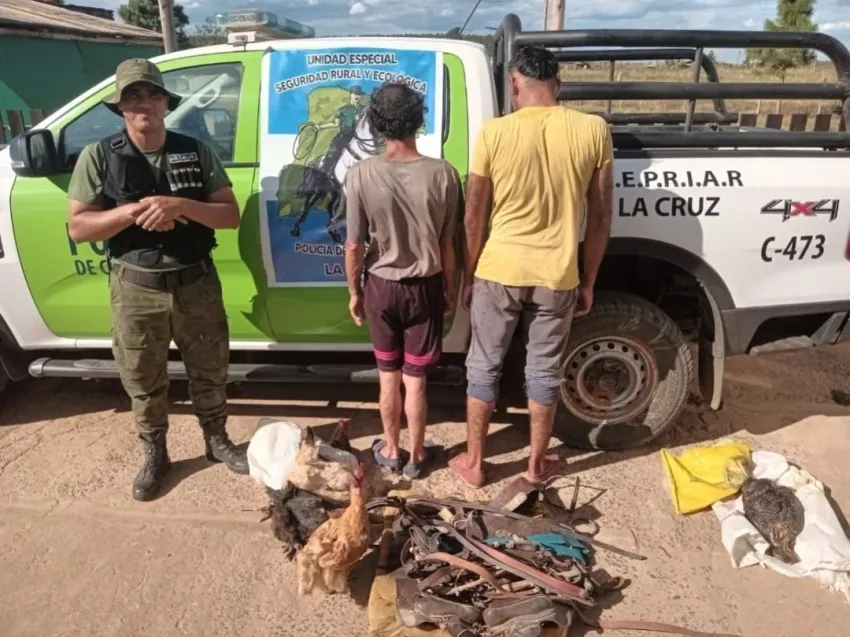 ctes.webp En el interior de Corrientes faenaron un cerdo y robaron nueve gallinas