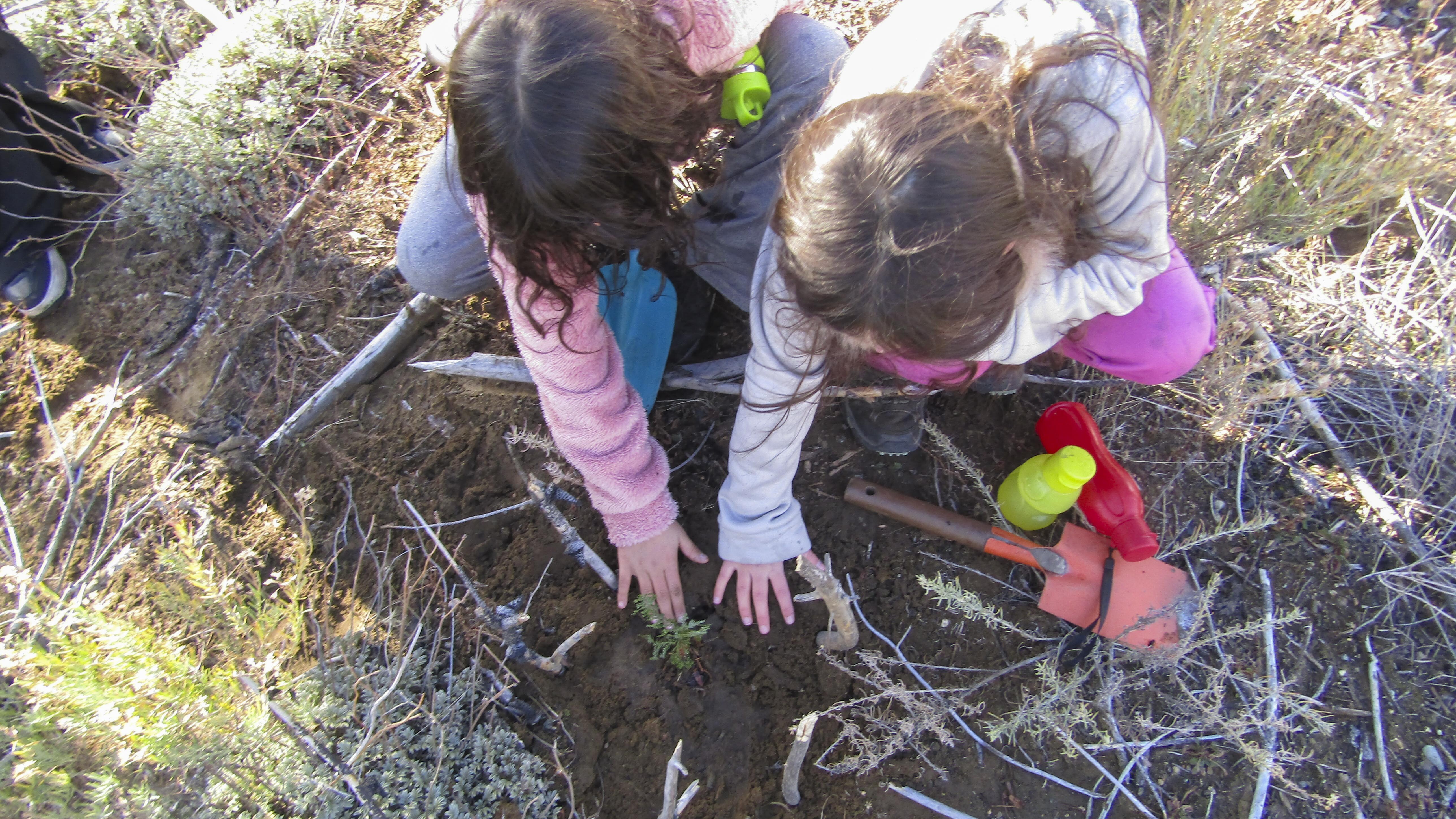 La UNRN junto a escuelas primarias restauran el bosque La UNRN junto a escuelas primarias restauran el bosque