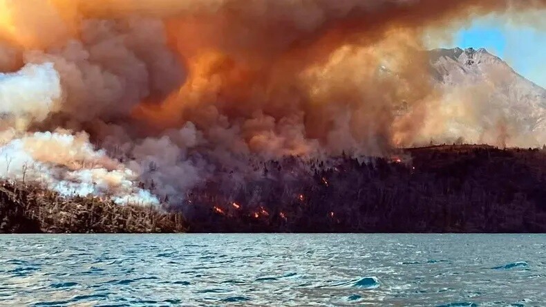 d.jpg Desgarrador testimonio de una damnificada por los incendios en Chubut: «No te entra en el corazón tanta tristeza»