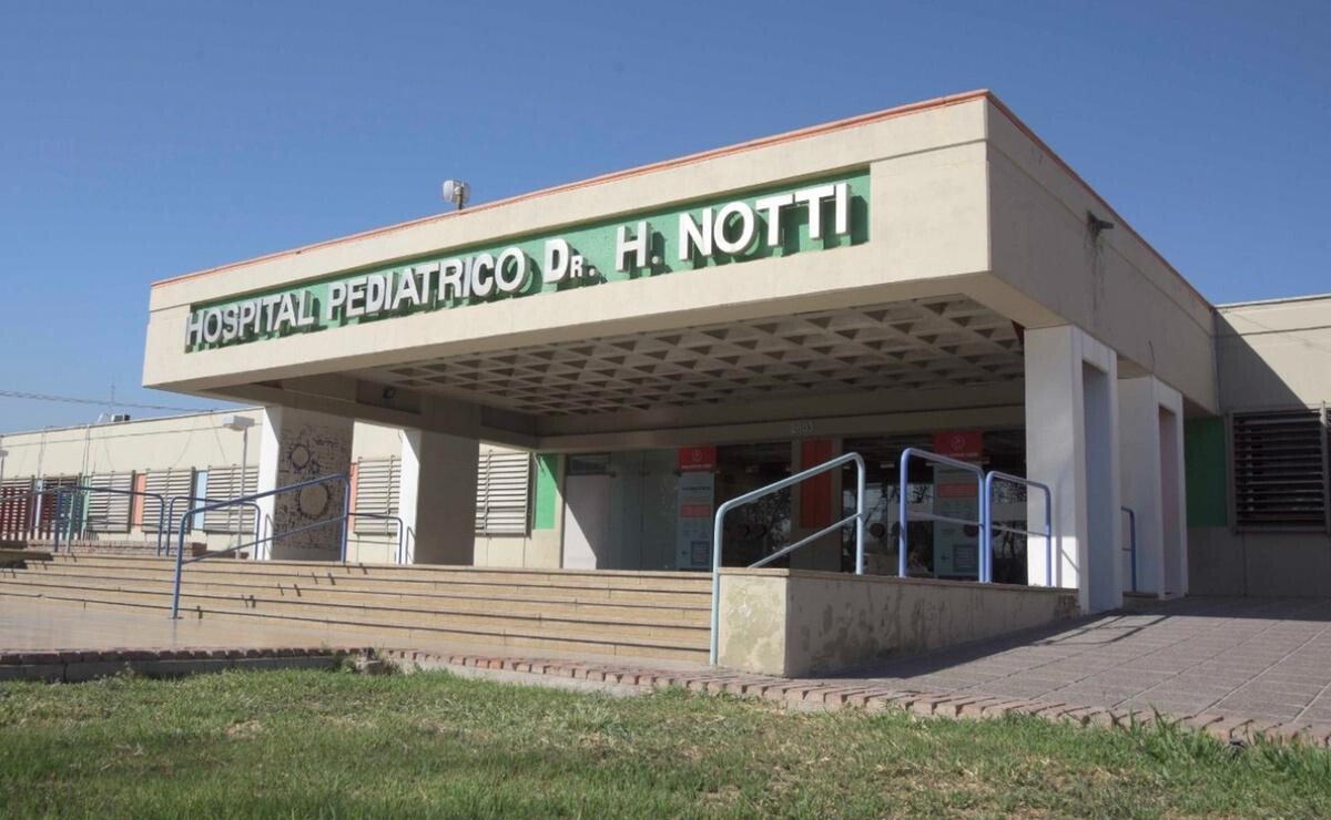 Tragedia en Mendoza: una mujer y su nieto de 2 años murieron al caer a un pozo séptico
