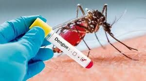 Dengue en Santa Fe Ciudad- Nuevos testeos