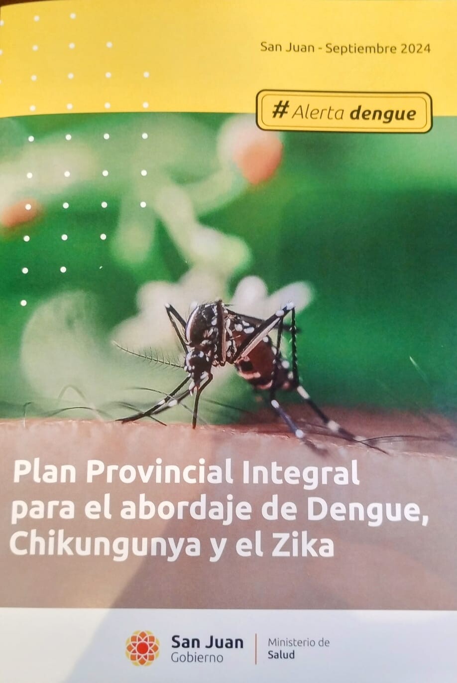dengue-3.jpeg