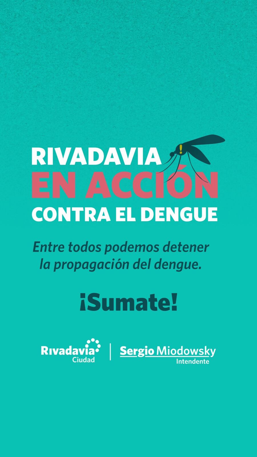 dengue-4.jpeg