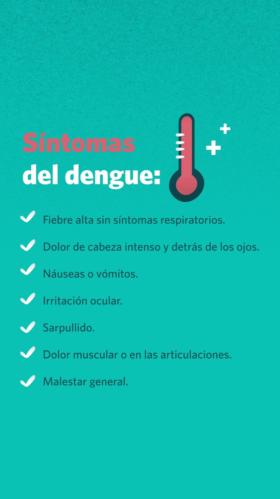 dengue-8.jpeg