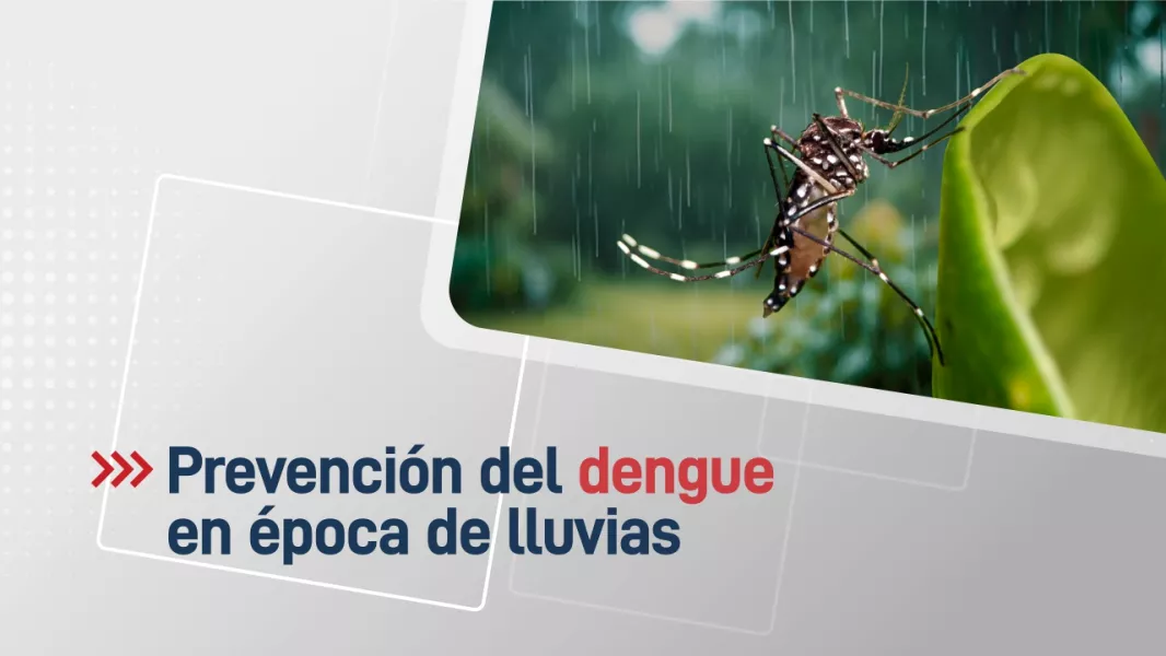 dengue-durante-el-periodo-de-lluvias