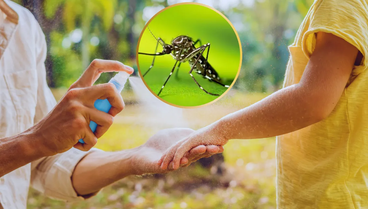 dengue-repelente-mosquitopng.webp Salud reconoció que espera un «brote histórico de dengue en Salta»