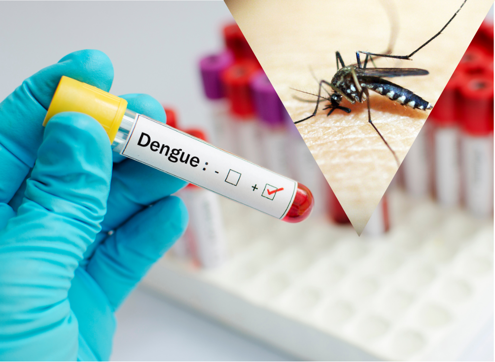 Vacunación dengue Córdoba 2026: Sedes en Sierras Chicas