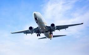 Extraño episodio: detienen a una pareja por intentar tener sexo en un avión