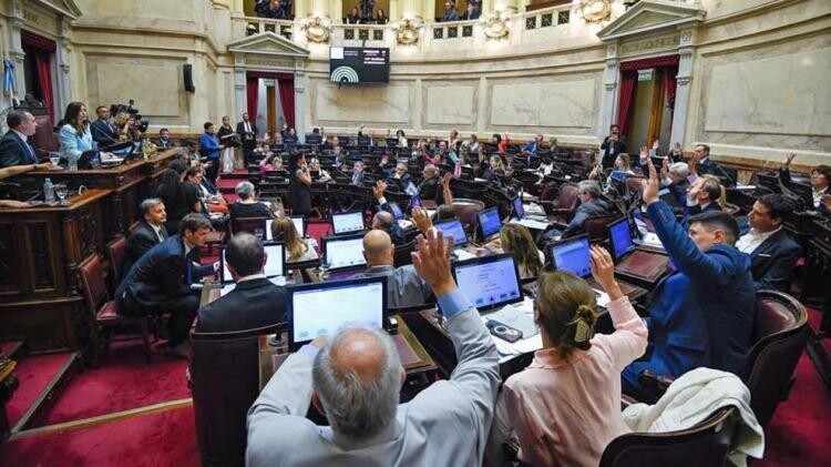 El Senado aprobó la reforma de la Ley de Salud Mental con sus puntos más polémicos: en qué consiste