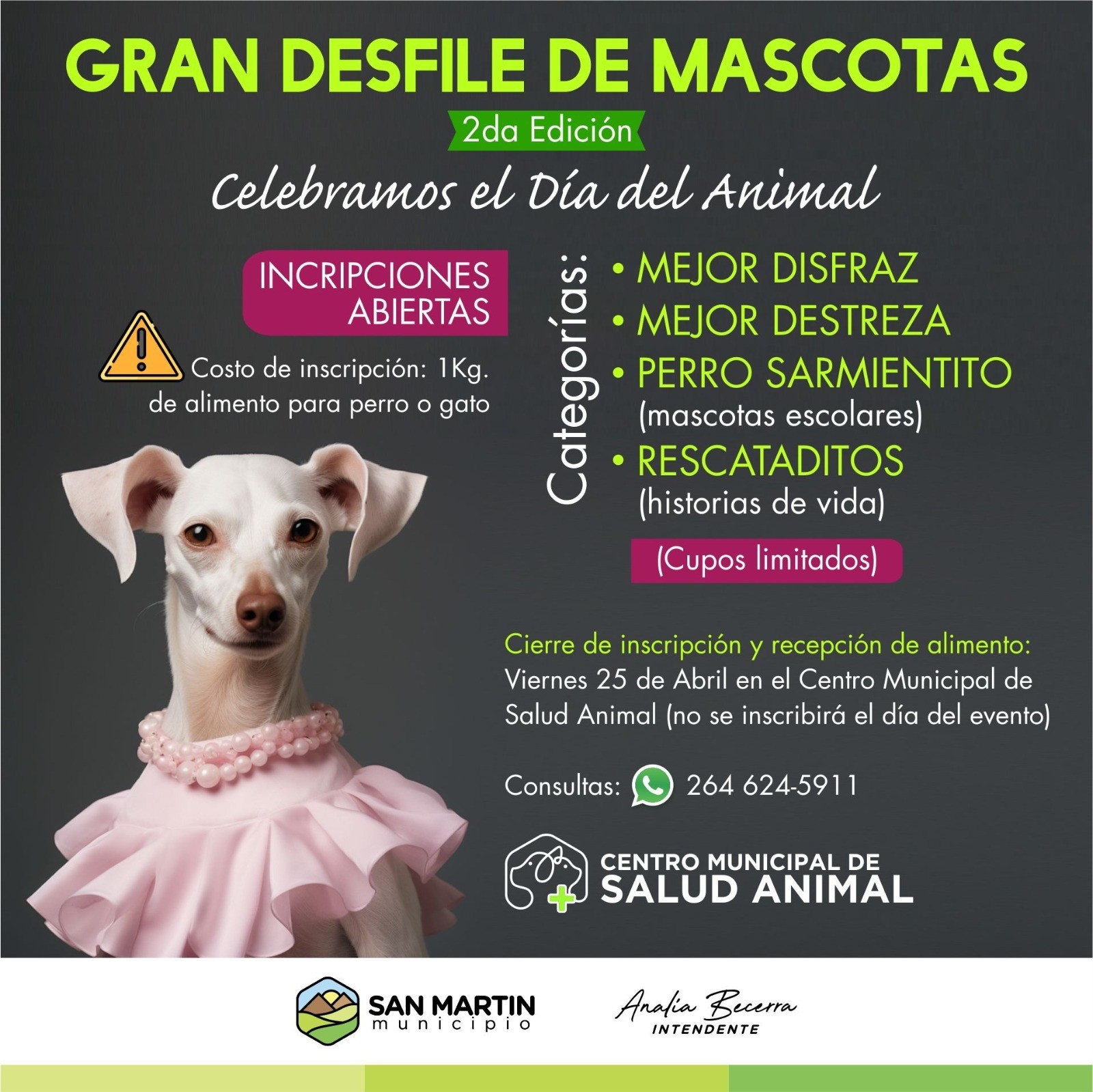 SAN MARTÍN: gran Desfile de Mascotas
