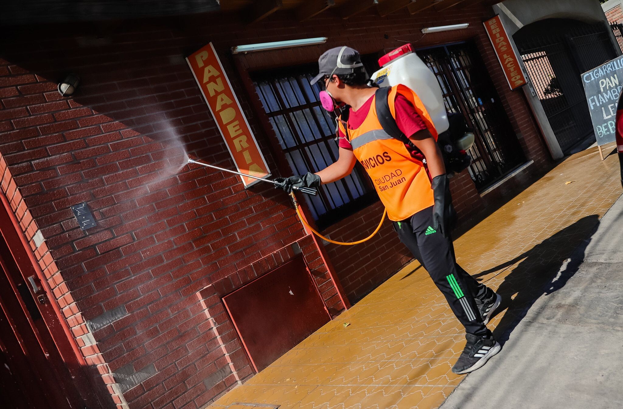 CIUDAD: cronograma de desinsectación y desratización