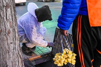 CIUDAD: Operativo integral de desinsectación y desratización del 4 al 9 de Agosto