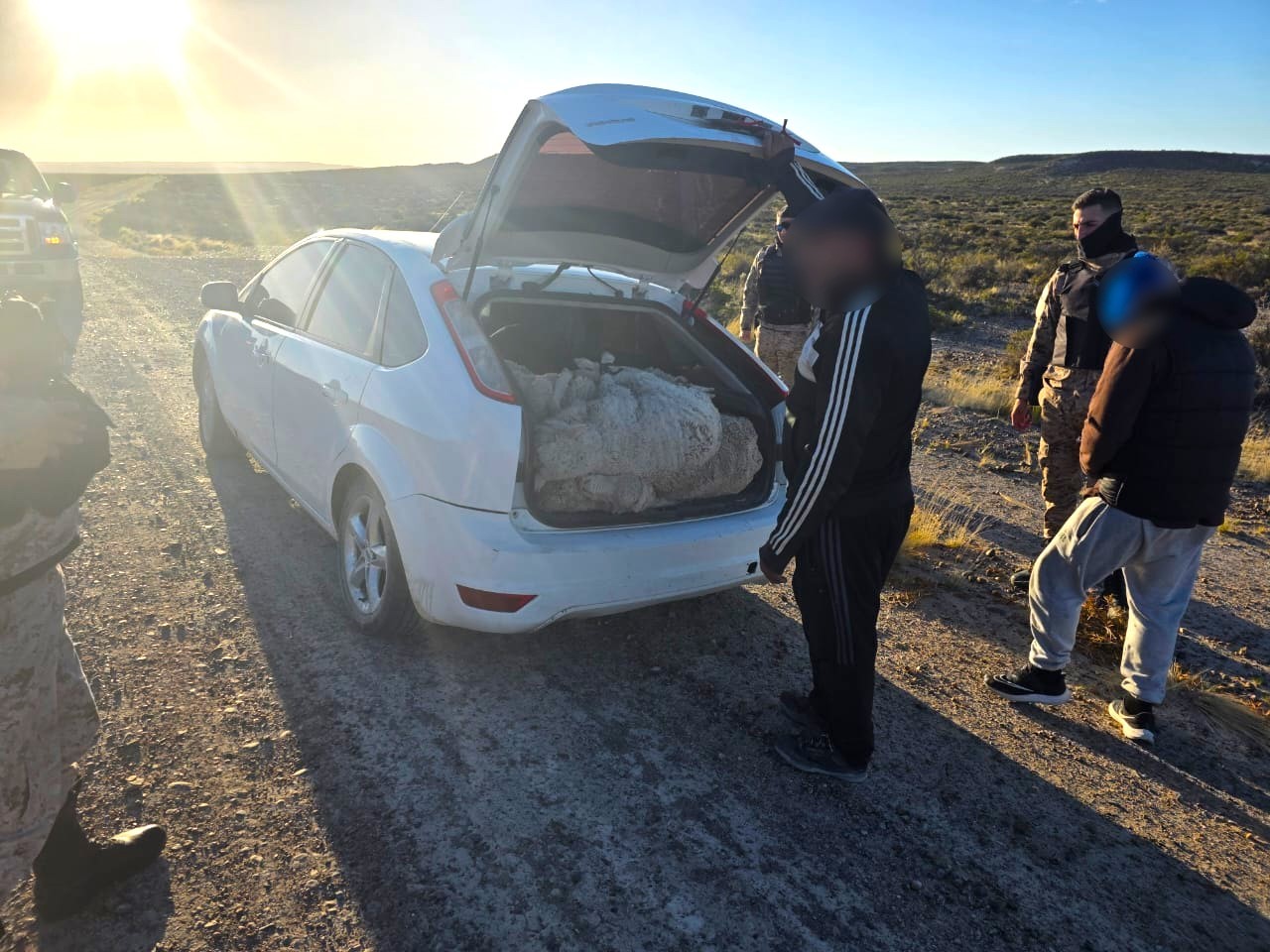 La Policía del Chubut desarticuló una banda delictiva tras una intensa persecución en la Ruta 1 camino a Punta Tombo