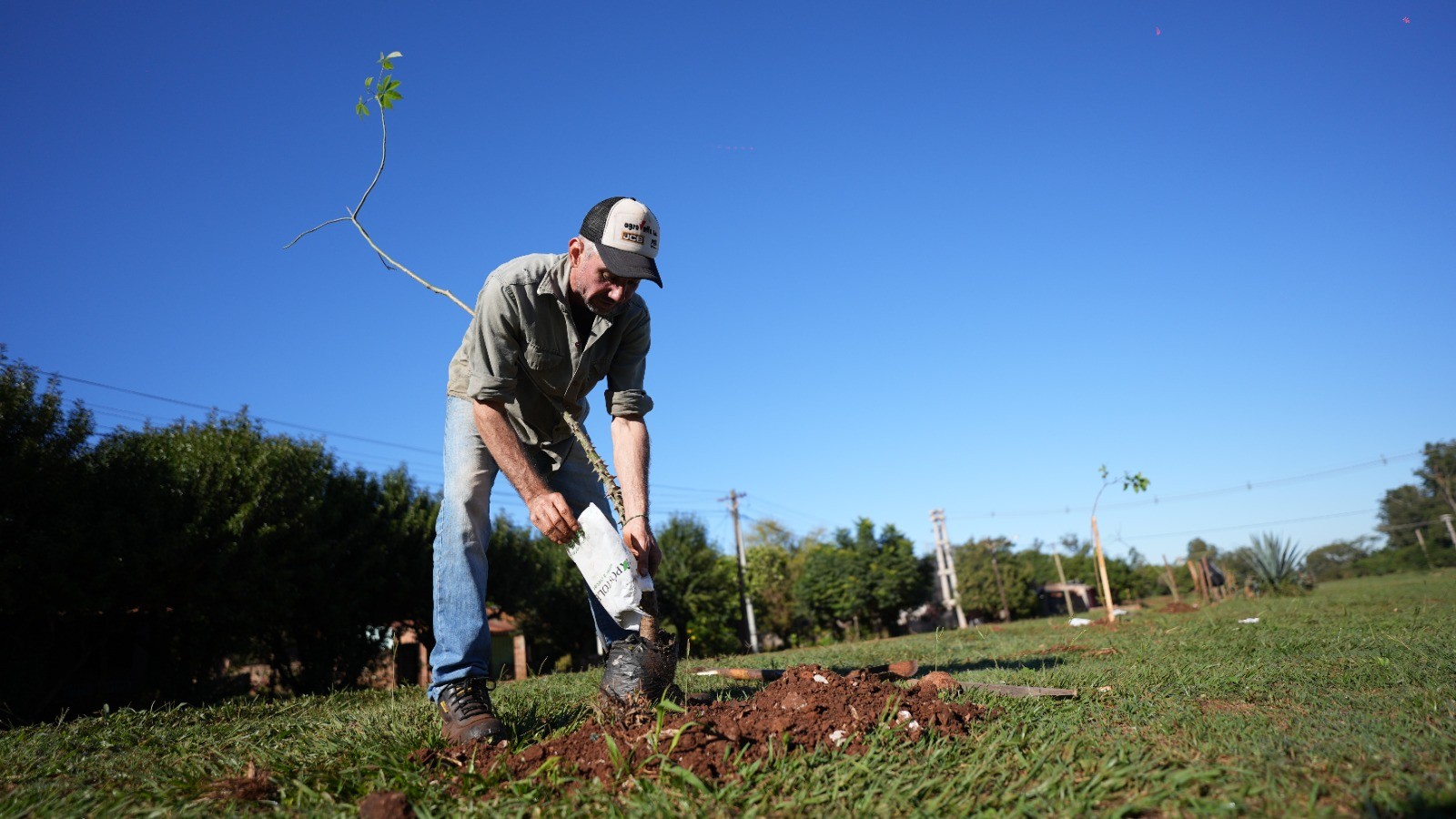 Apóstoles fortalece su plan de arborización urbana.