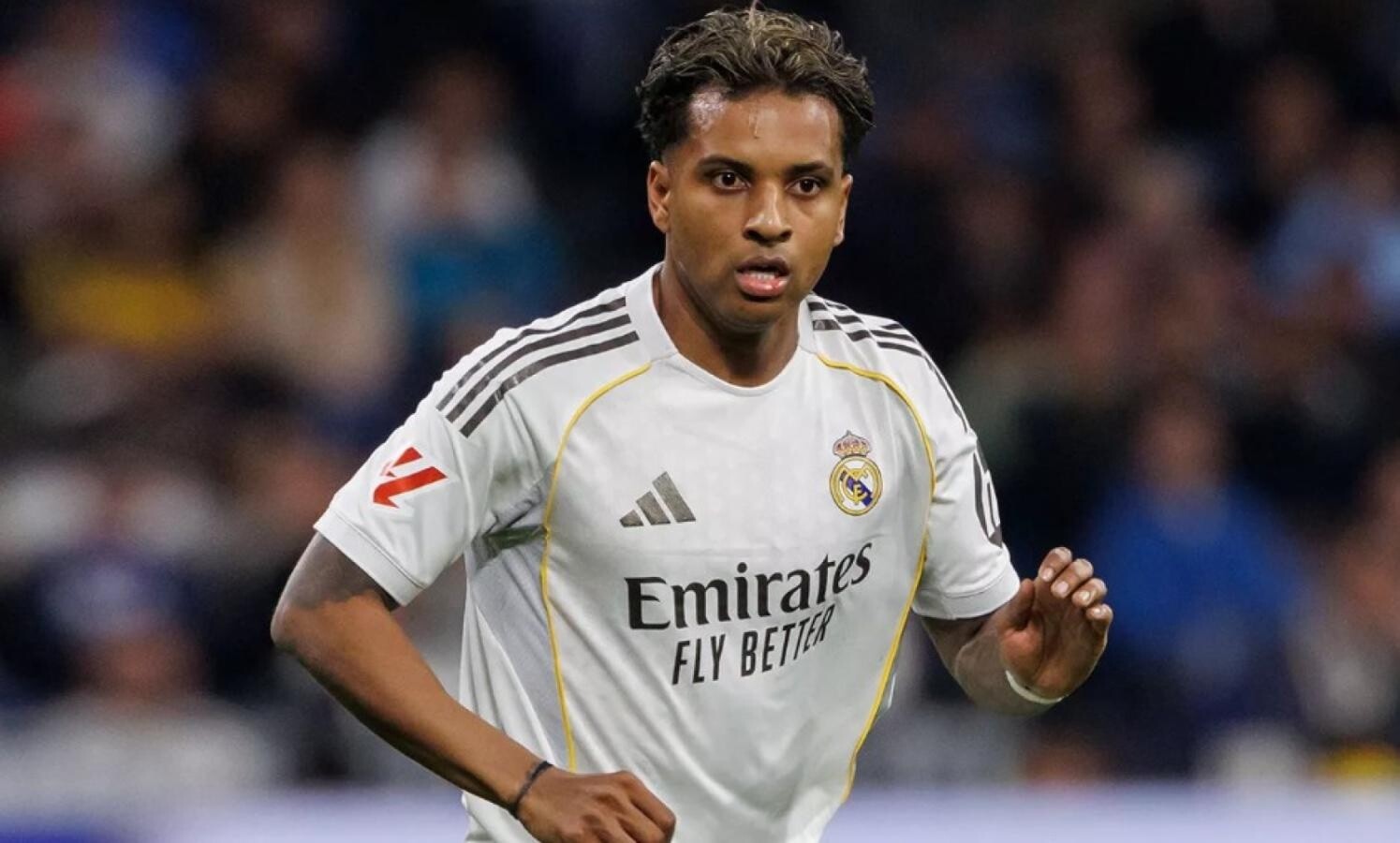 e.jpg Juega en Real Madrid, se rompió los ligamentos y no estará en el Mundial para Brasil