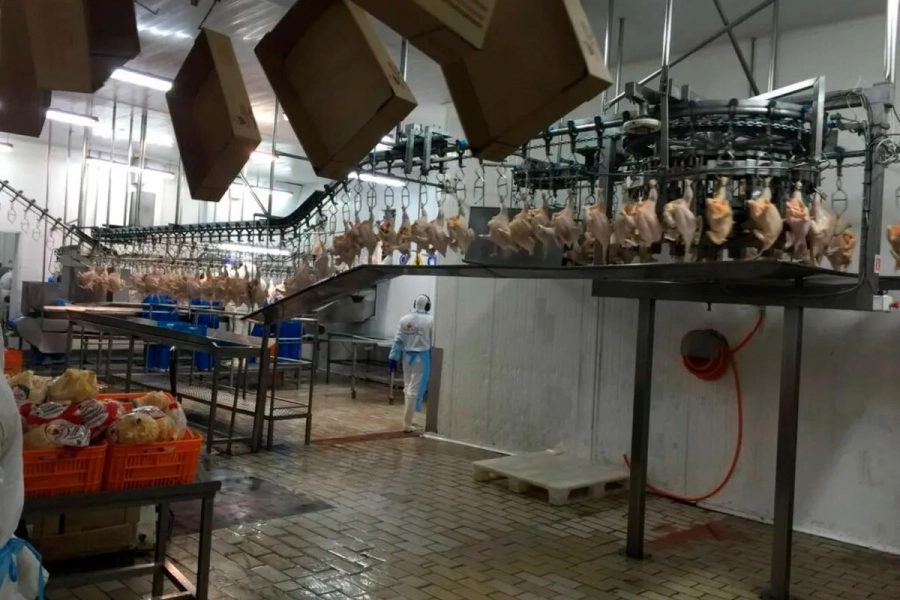 Último momento: Granja Tres Arroyos vuelve al paro por incumplimiento de la empresa