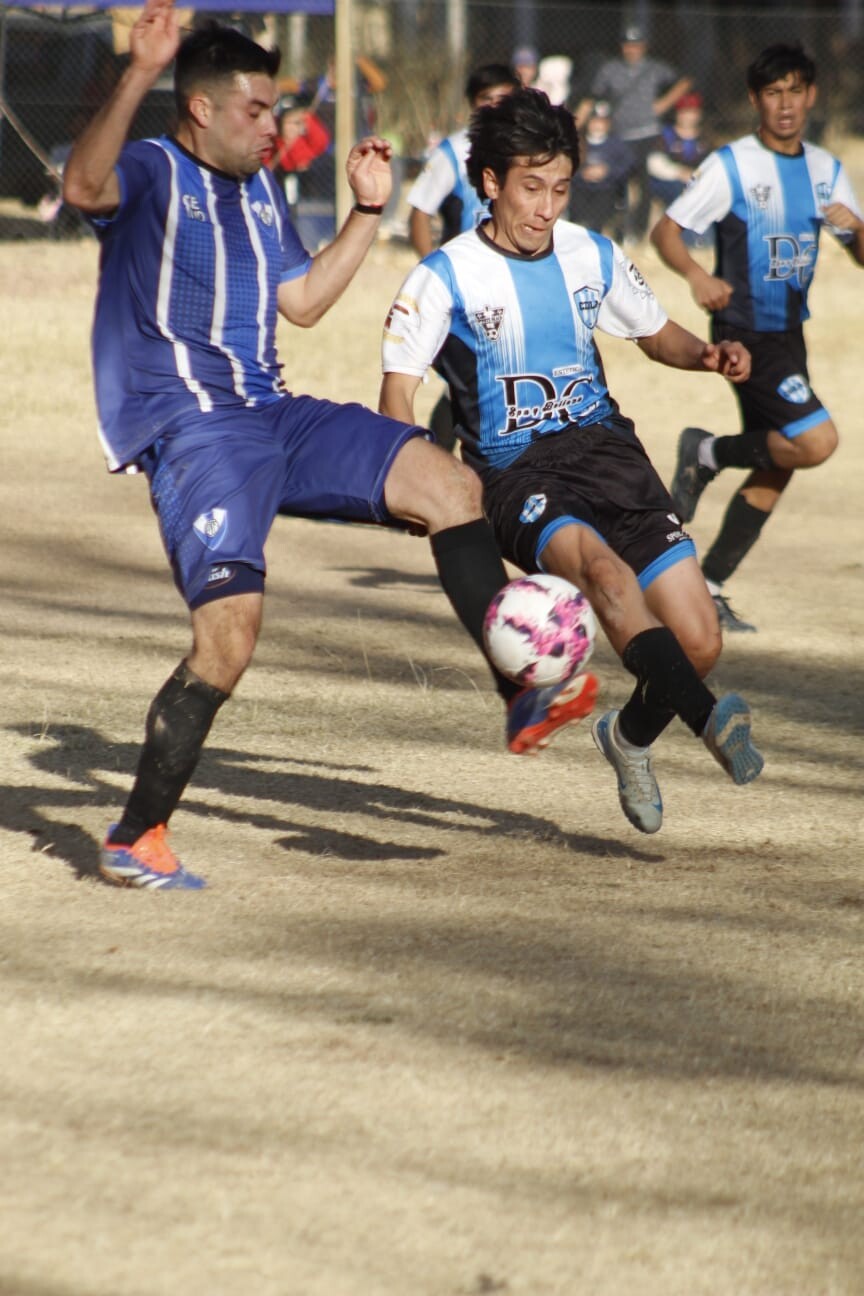 ebf05c8e-bf0b-4a77-9ec3-3bc855182d63.jpg