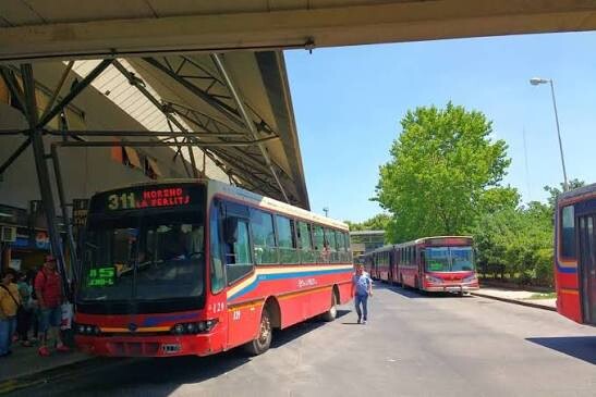 eeeeee.jpg Mariel Fernández y un ambicioso proyecto de transporte público