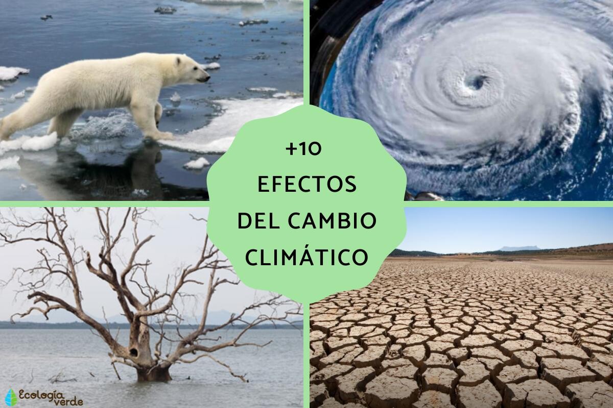 efectos_del_cambio_climatico_3268_orig.jpg efectos_del_cambio_climatico_3268_orig.jpg