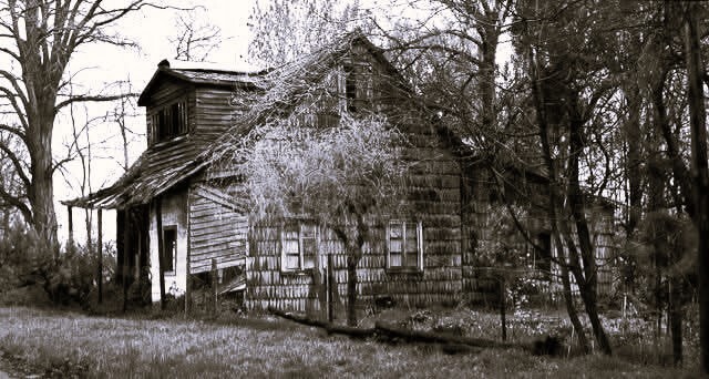 el bolson 100 años -casa Ulleldin - marta pastorino8.jpeg