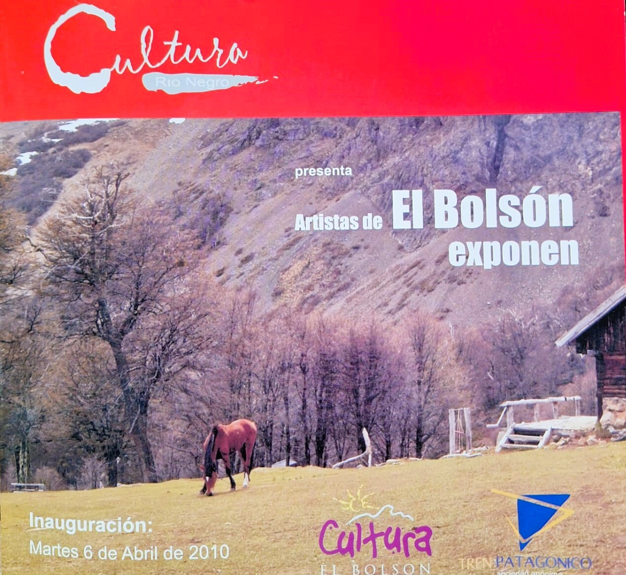 el bolson cultura plasticos tapa.jpeg