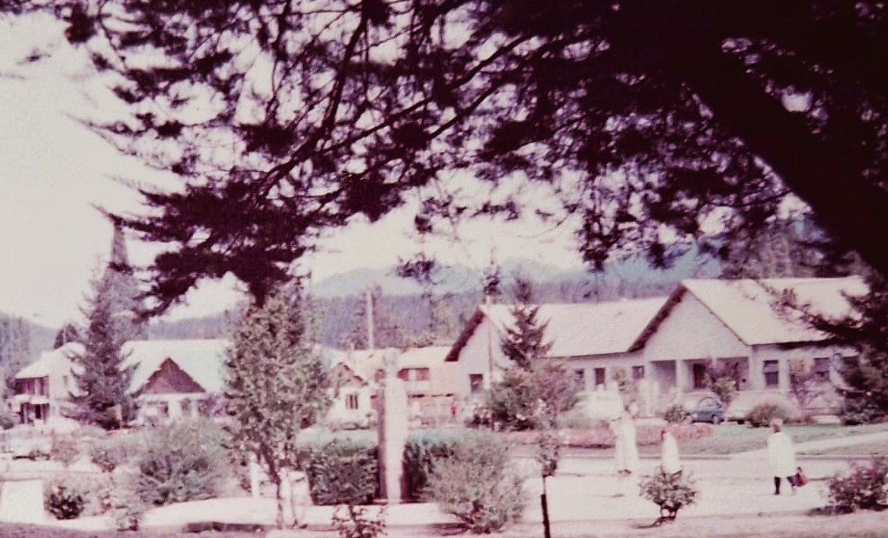 el bolson instituto estrada .jpeg