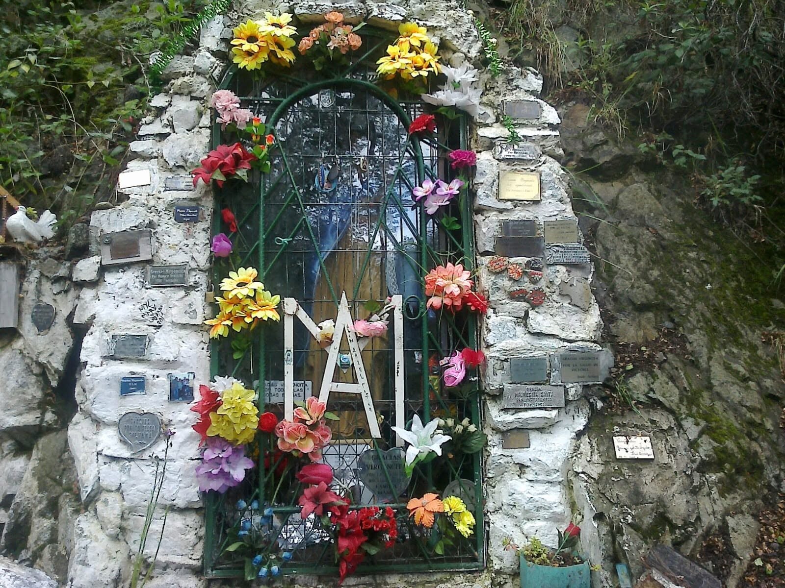 el bolson virgen de la merced los repollos.jpg