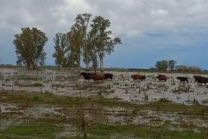 el-campo-de-martin-vivanco-en-san-antonio-de-S2V6ZJ34XVCOXOWHA7DJVX73CY.jpeg