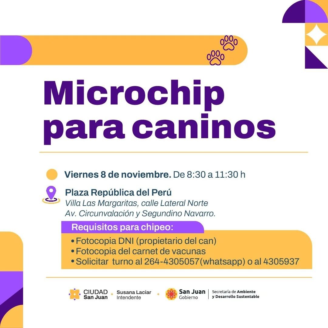 el chip canino cap dos5963957_18339325588177817_7688761723092481345_n.jpg