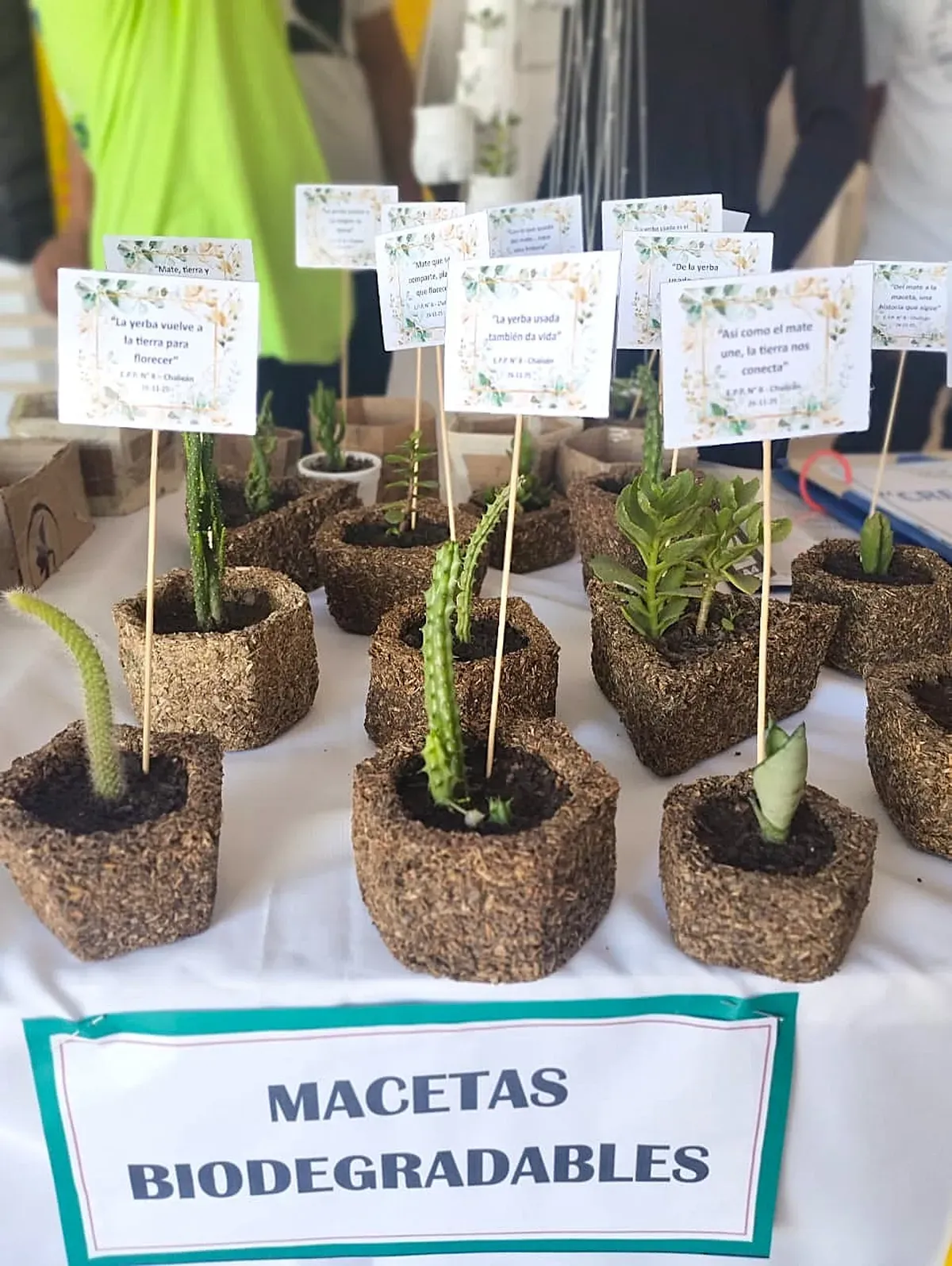 «Renovando Energía»: más de 300 estudiantes en contexto de encierro, con acciones por la eficiencia energética