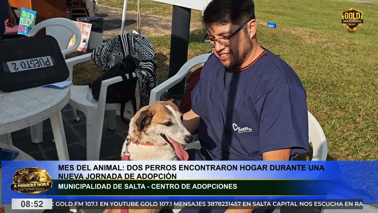 SALTA: MÁS ADOPCIONES RESPONSABLES EN EL MARCO DEL MES DEL ANIMAL