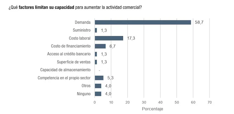 factores-que-limitan-la-capacidad-para-aumentar-la-actividad-comercial-grafico-indec-RRF5ENRTHNCNZKWV5A5DAJ4NIU.webp
