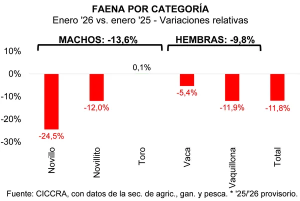 faena.webp