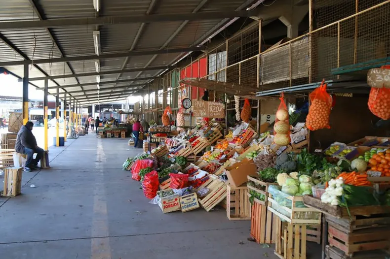 CIUDAD: precios de frutas, verduras, carnes y embutidos en la Feria del Abasto