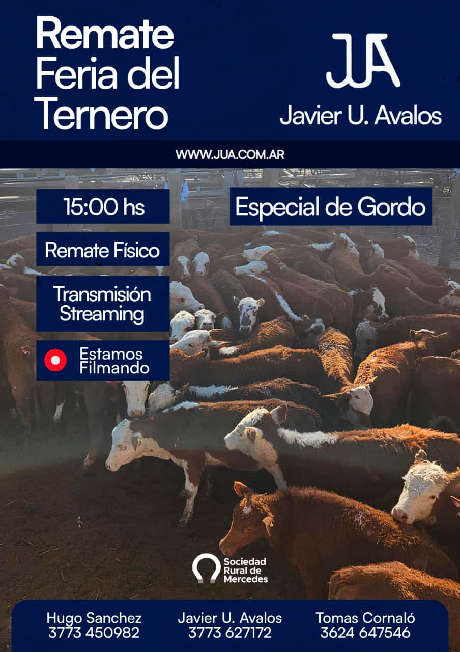 feria ganadera 1.png