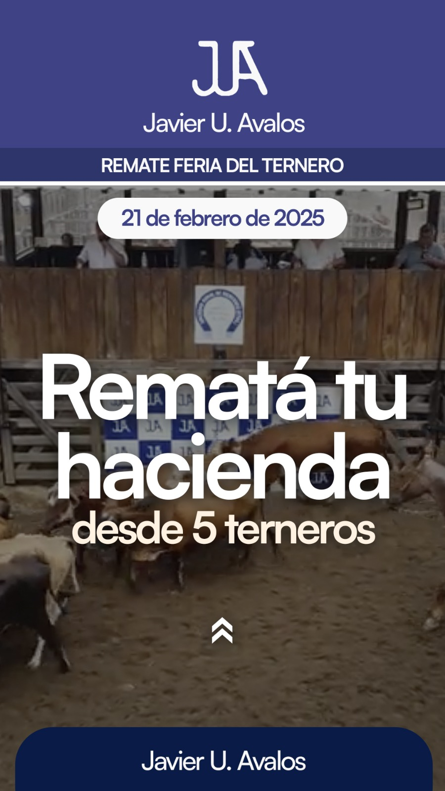 feria ganadera 2.png