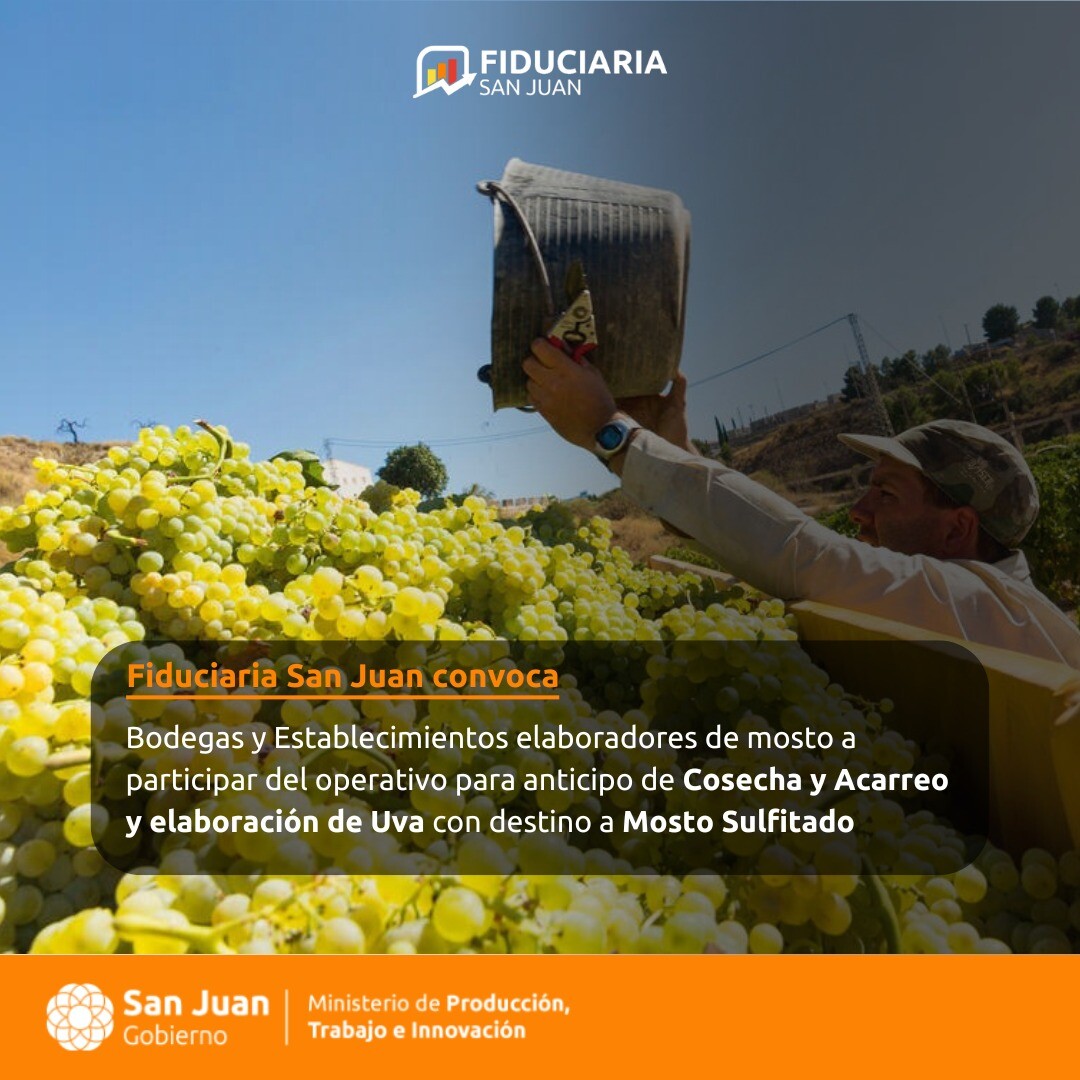Nueva política destinada a proteger a los eslabones más débiles de la cadena vitivinícola