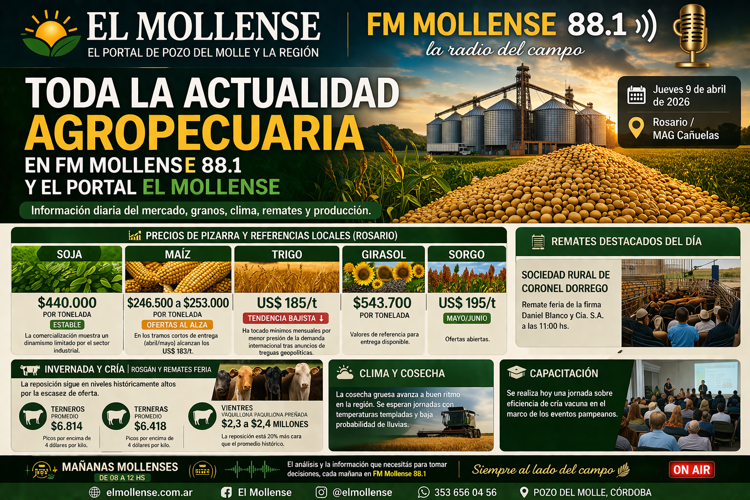 file_00000000319471f5808fbfaede6c8b2d.png Granos, clima y cosecha: las claves de la jornada agropecuaria