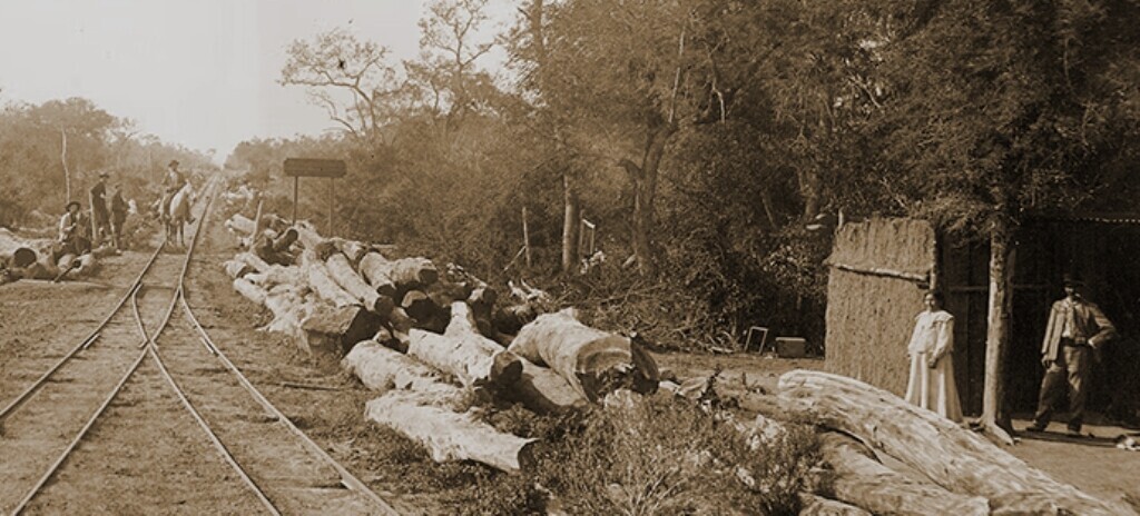 forestal.jpg