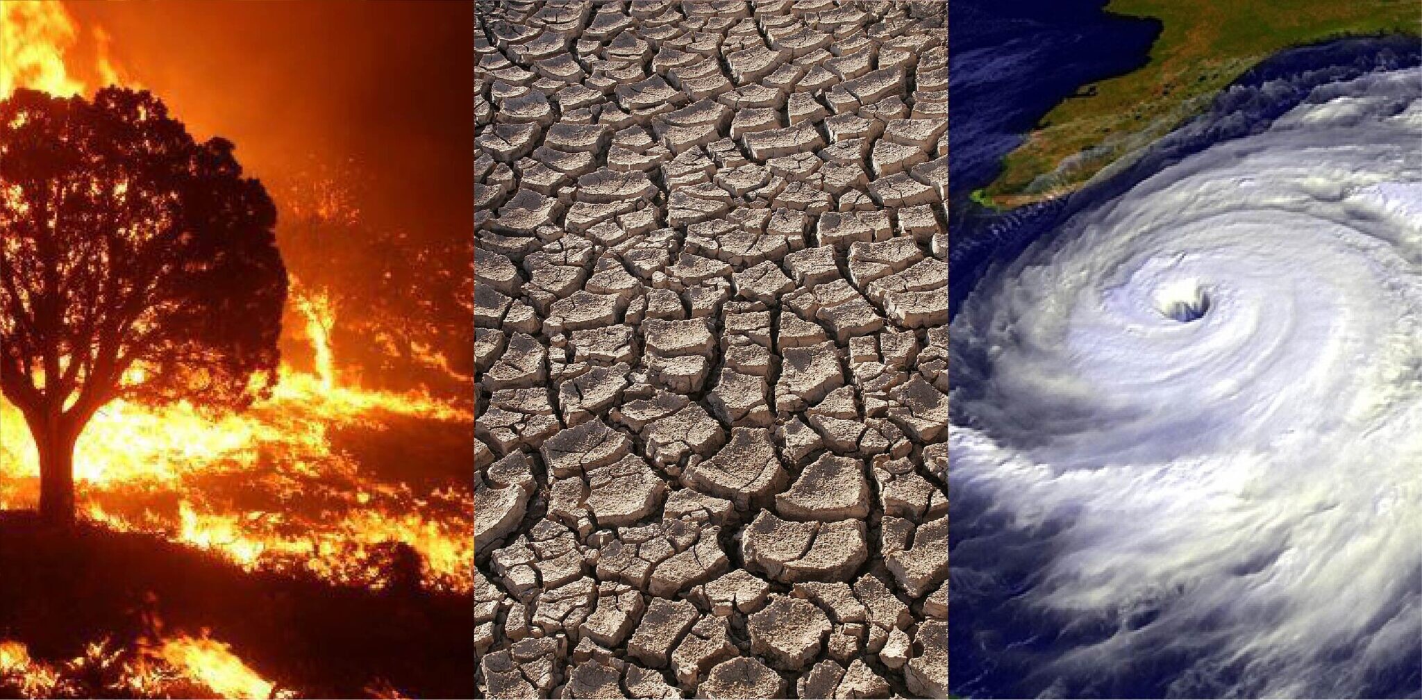fotos-sobre-el-cambio-climatico-visualizando-el-impacto-devastador-en-nuestro-planeta-2048x1008.jpg fotos-sobre-el-cambio-climatico-visualizando-el-impacto-devastador-en-nuestro-planeta-2048x1008.jpg