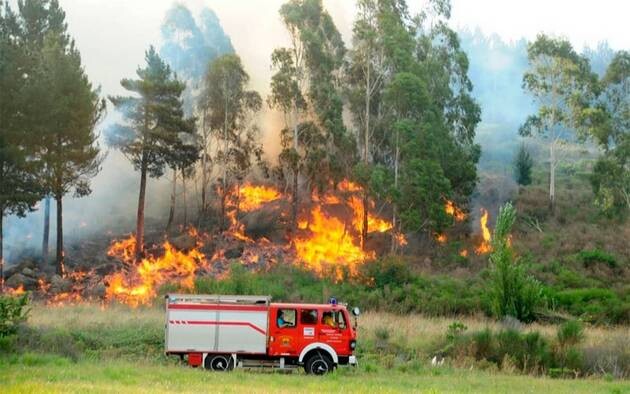 Riesgo de incendio “muy alto” en Tandil: Defensa Civil advierte sobre las condiciones actuales y refuerza la prevención