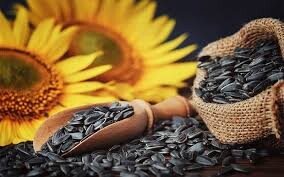 GIRASOL- Crece la Demanda por esta semilla y las expectativas del área