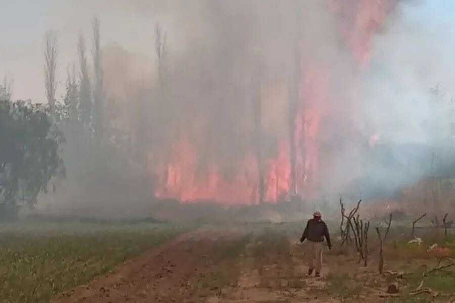 h1.jpg EL DEVASTADOR INCENDIO EN LOS SAUCES DEJÓ TRES DETENIDOS COMO SUPUESTOS AUTORES.