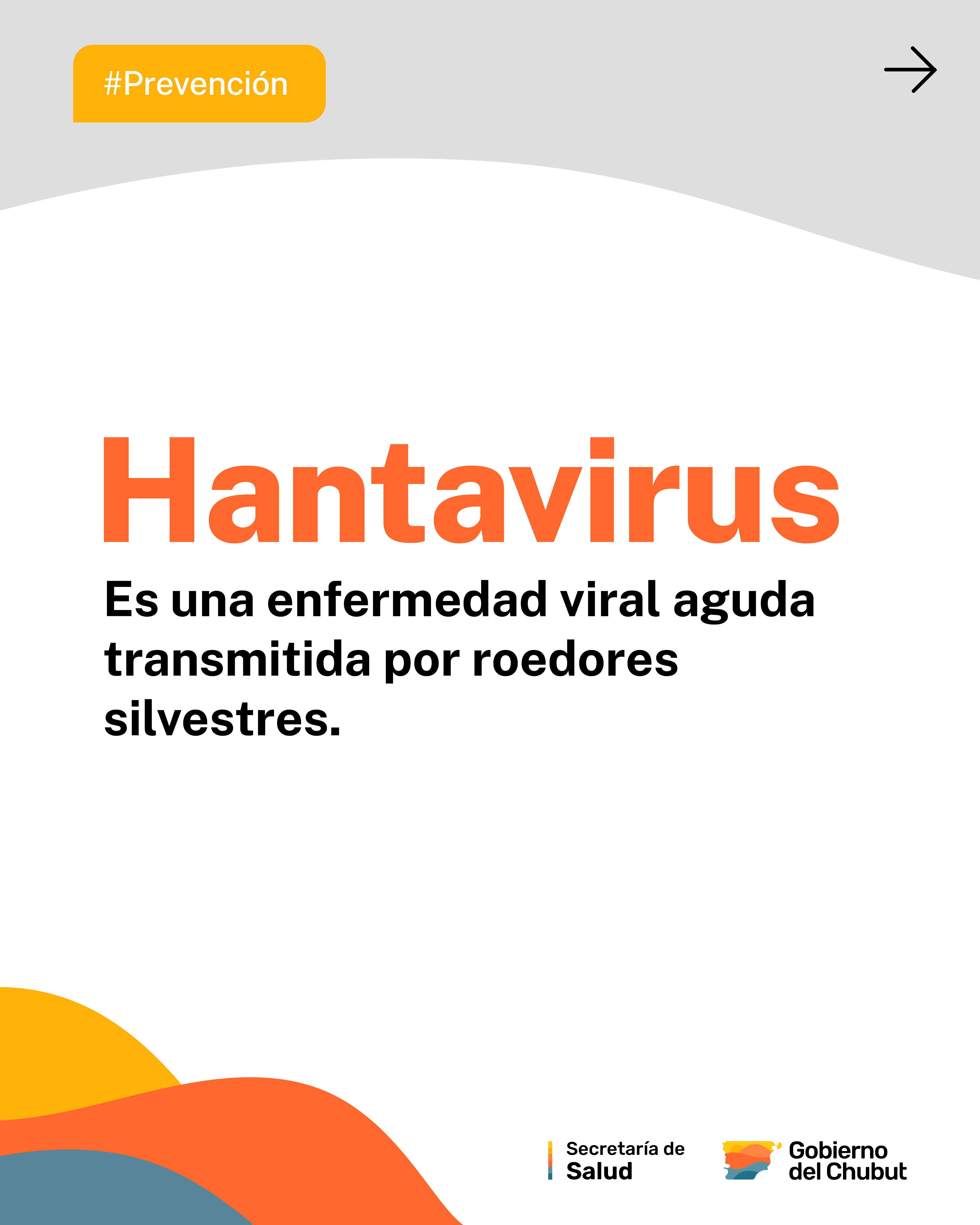 Falleció una adolescente por hantavirus en Cerro Centinela y refuerzan el operativo sanitario en la zona